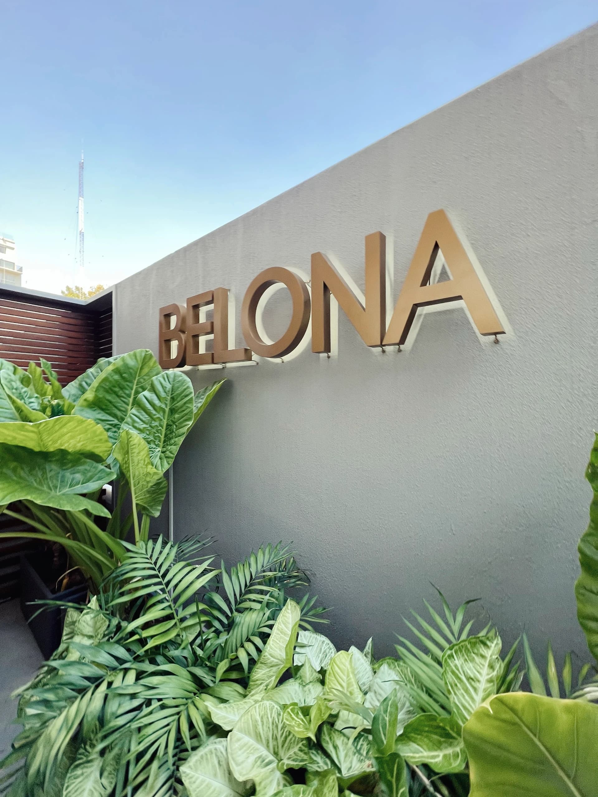 Belona Bags I 17